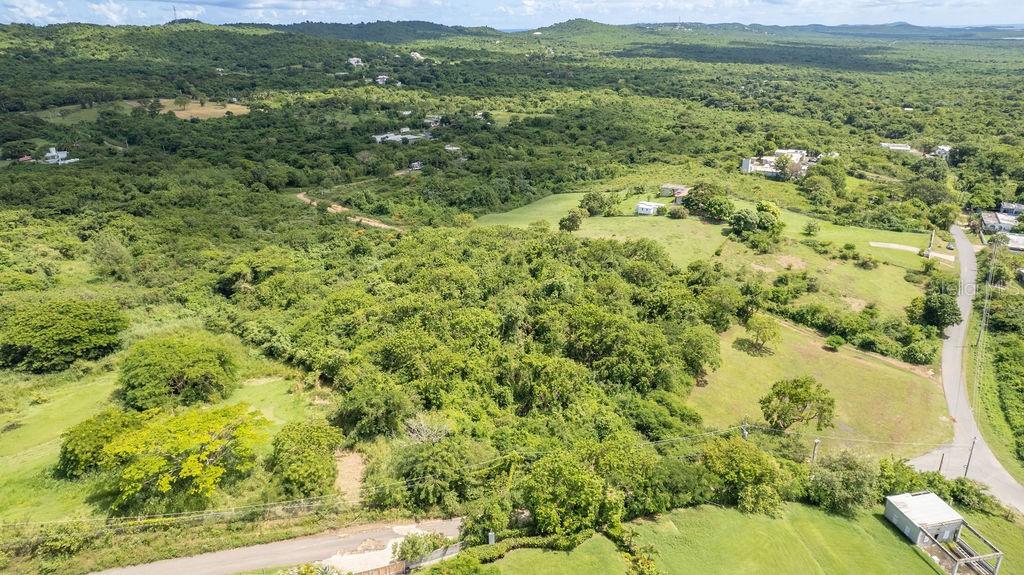 VIEQUES — foto 11
