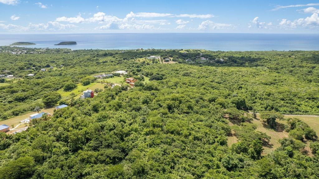 VIEQUES — foto 6