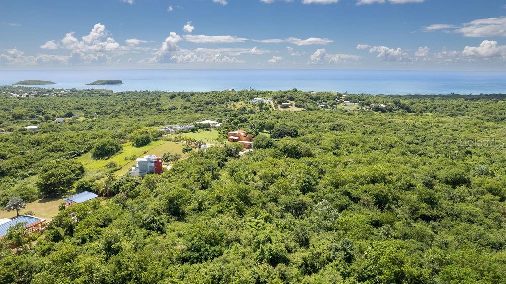 VIEQUES — foto 4