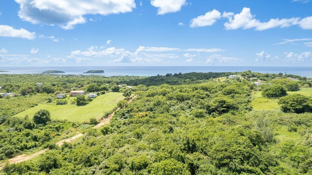 VIEQUES — foto 7