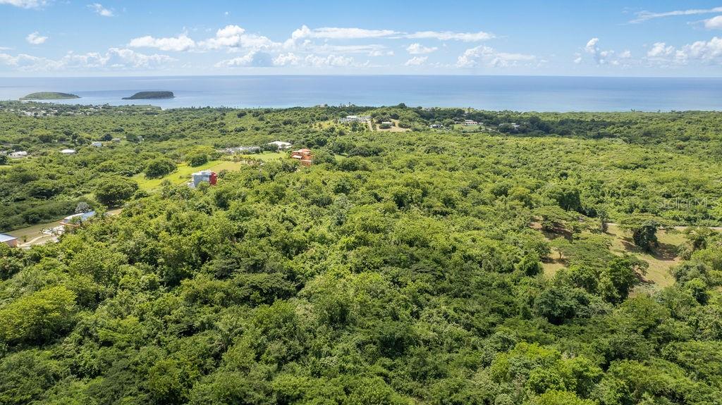 VIEQUES — foto 9