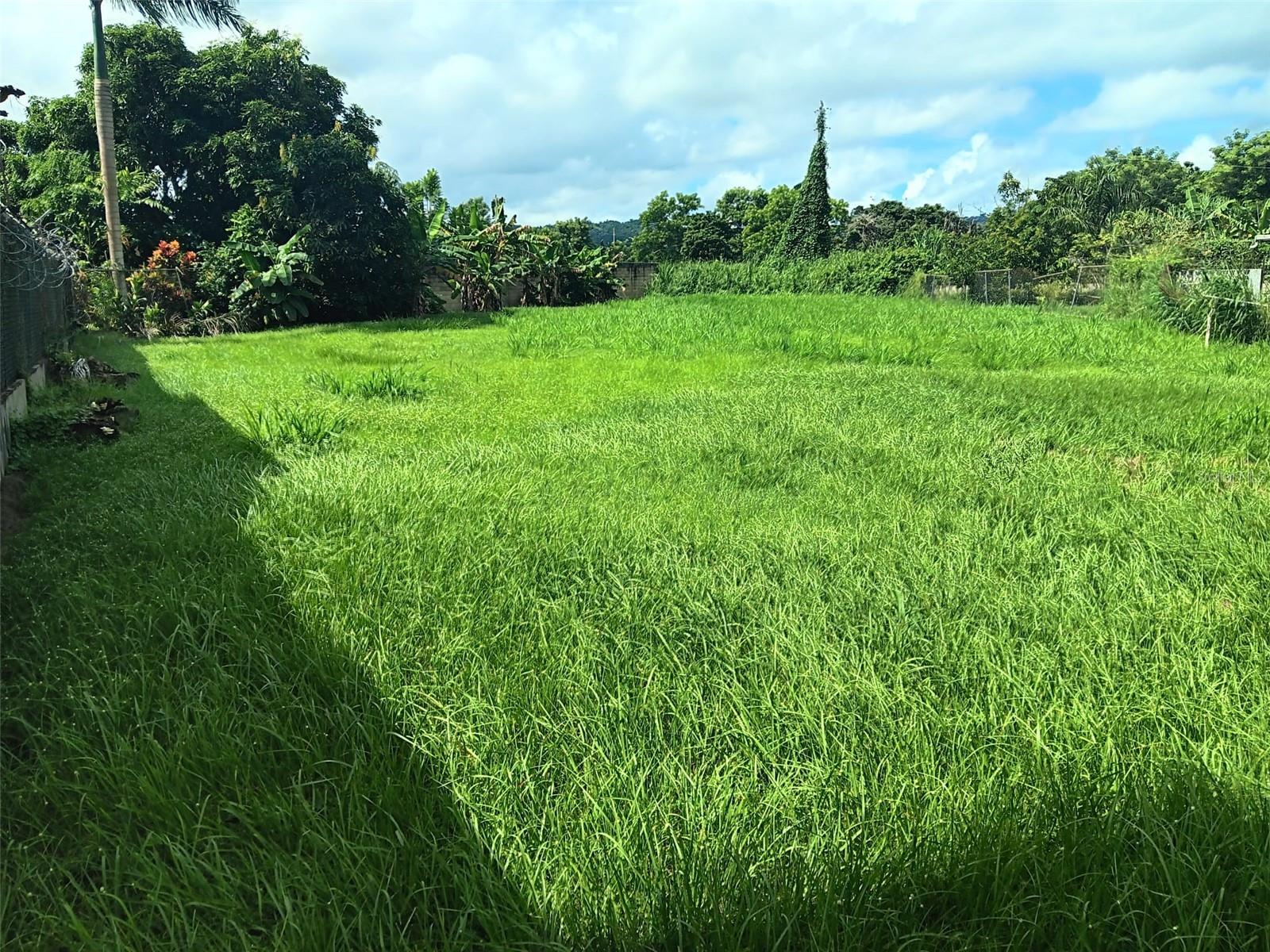CAGUAS — foto 5