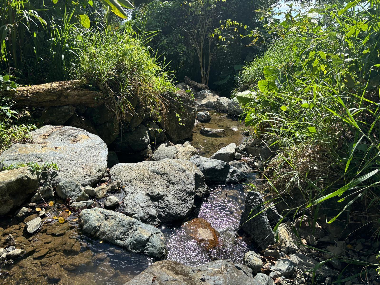 NAGUABO — foto 2