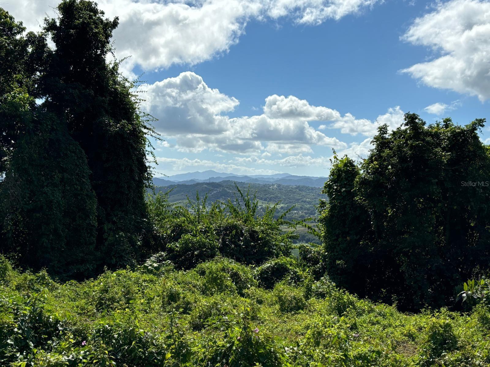 NAGUABO — foto 12
