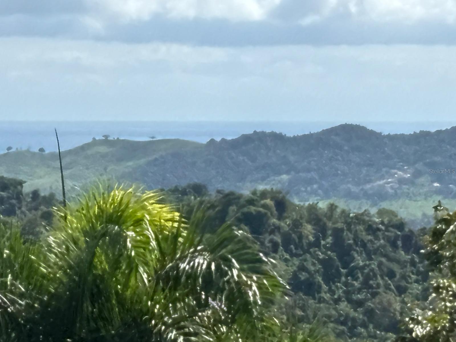 NAGUABO — foto 3