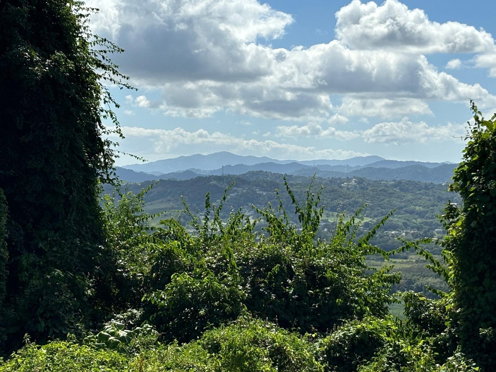 NAGUABO — foto 4