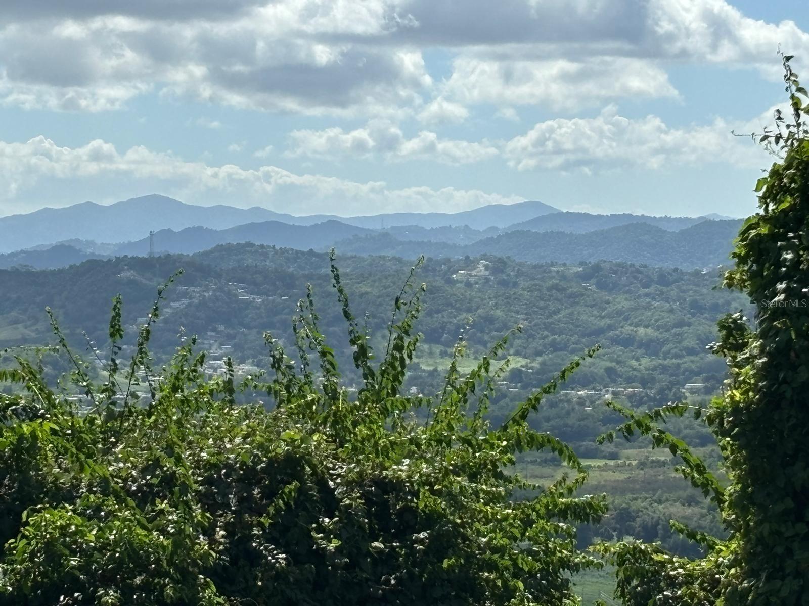 NAGUABO — foto 5