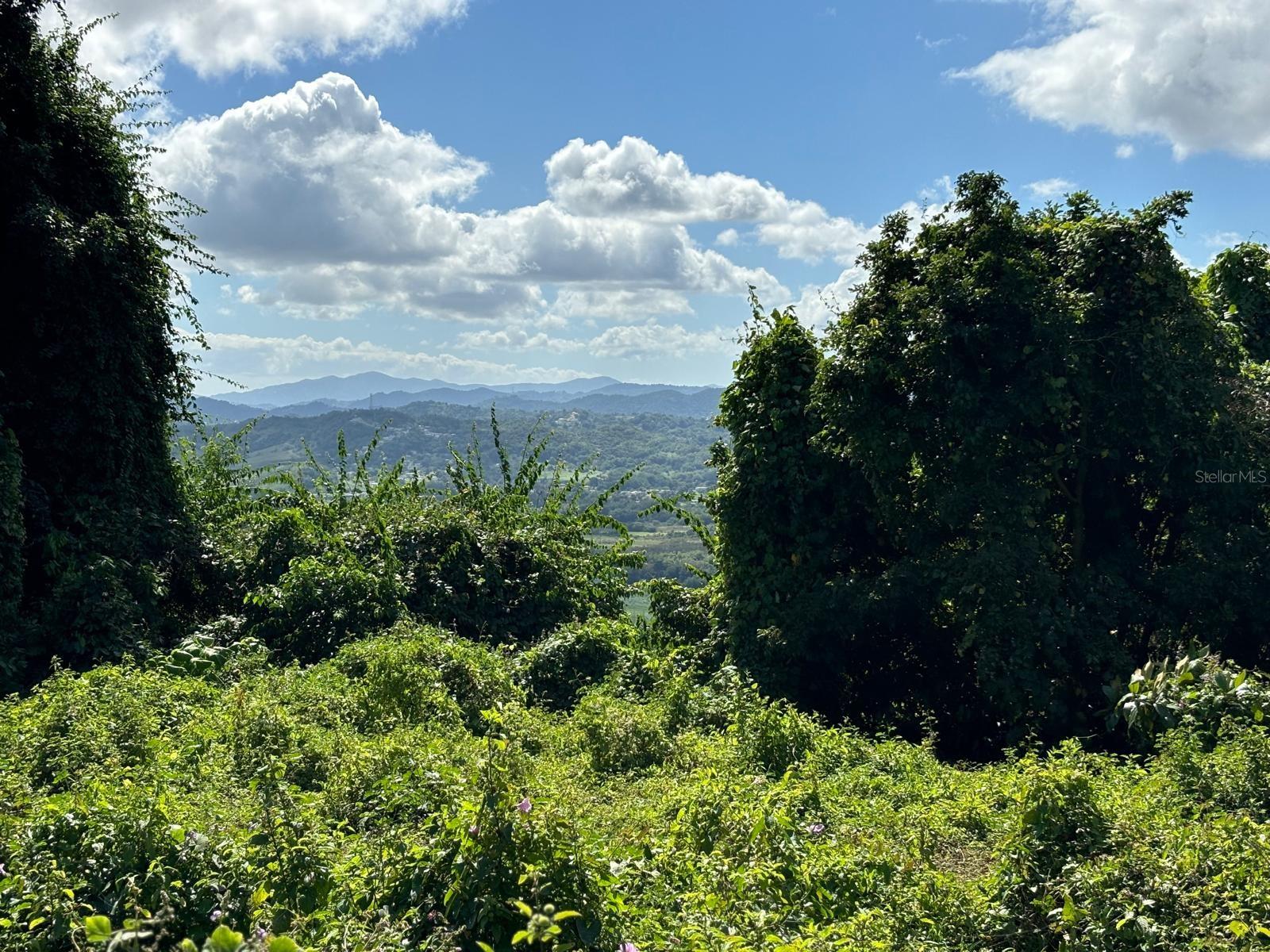 NAGUABO — foto 6