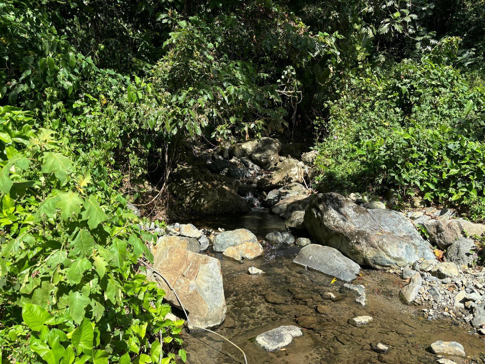 NAGUABO — foto 7