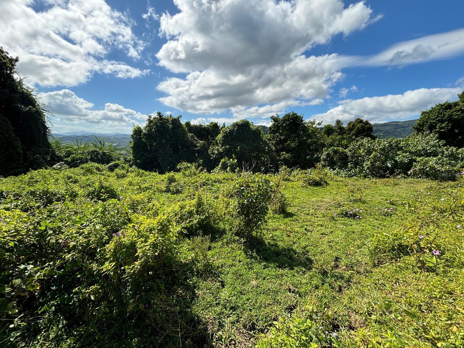 NAGUABO — foto 8