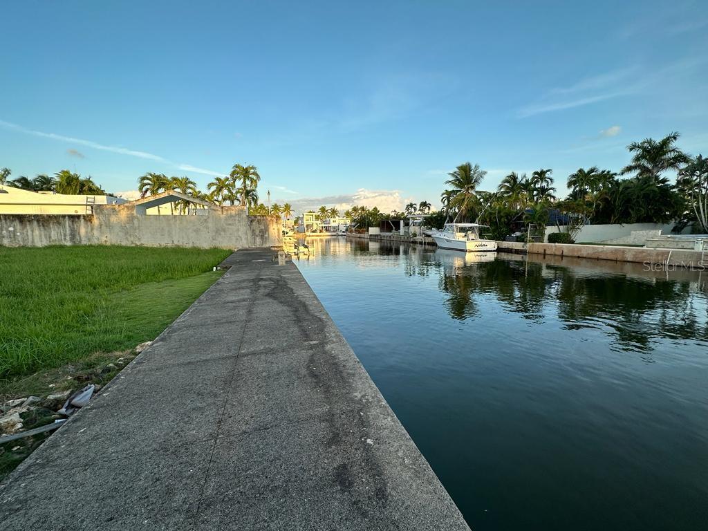 CAROLINA — foto 5