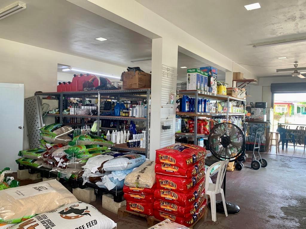 ISABELA — foto 11