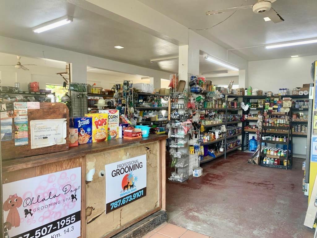ISABELA — foto 10
