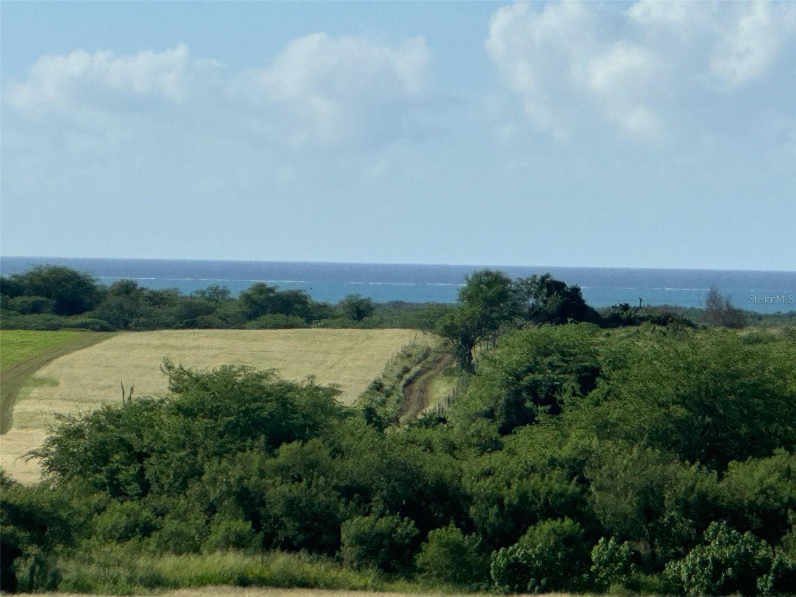 CABO ROJO — foto 2