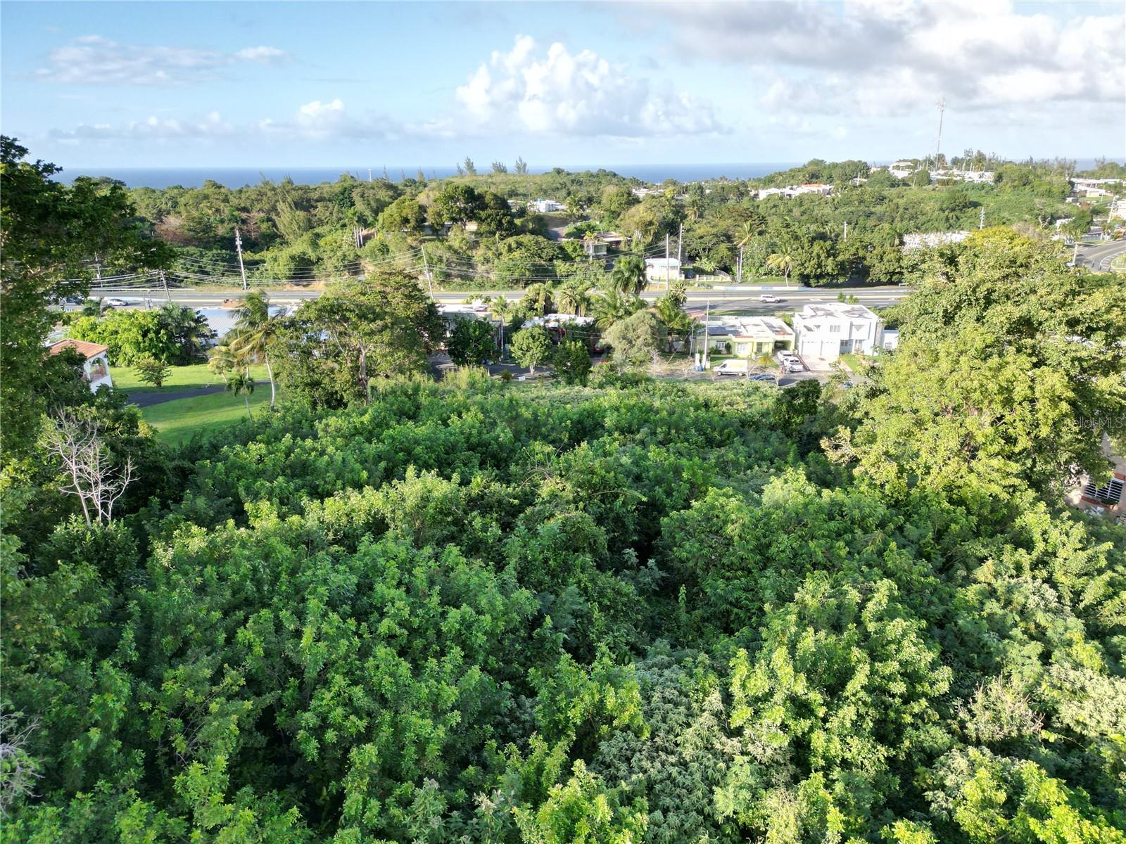 CAMUY — foto 3