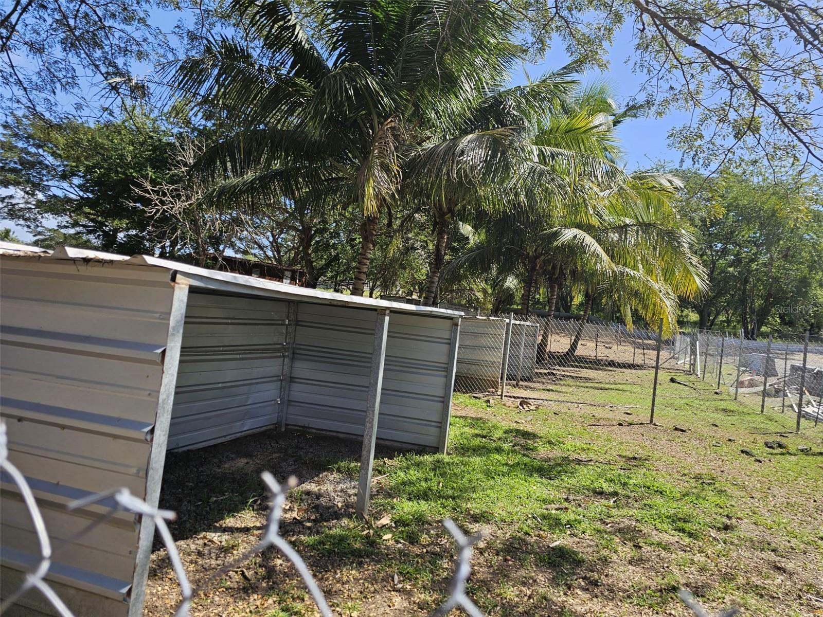 CABO ROJO — foto 5