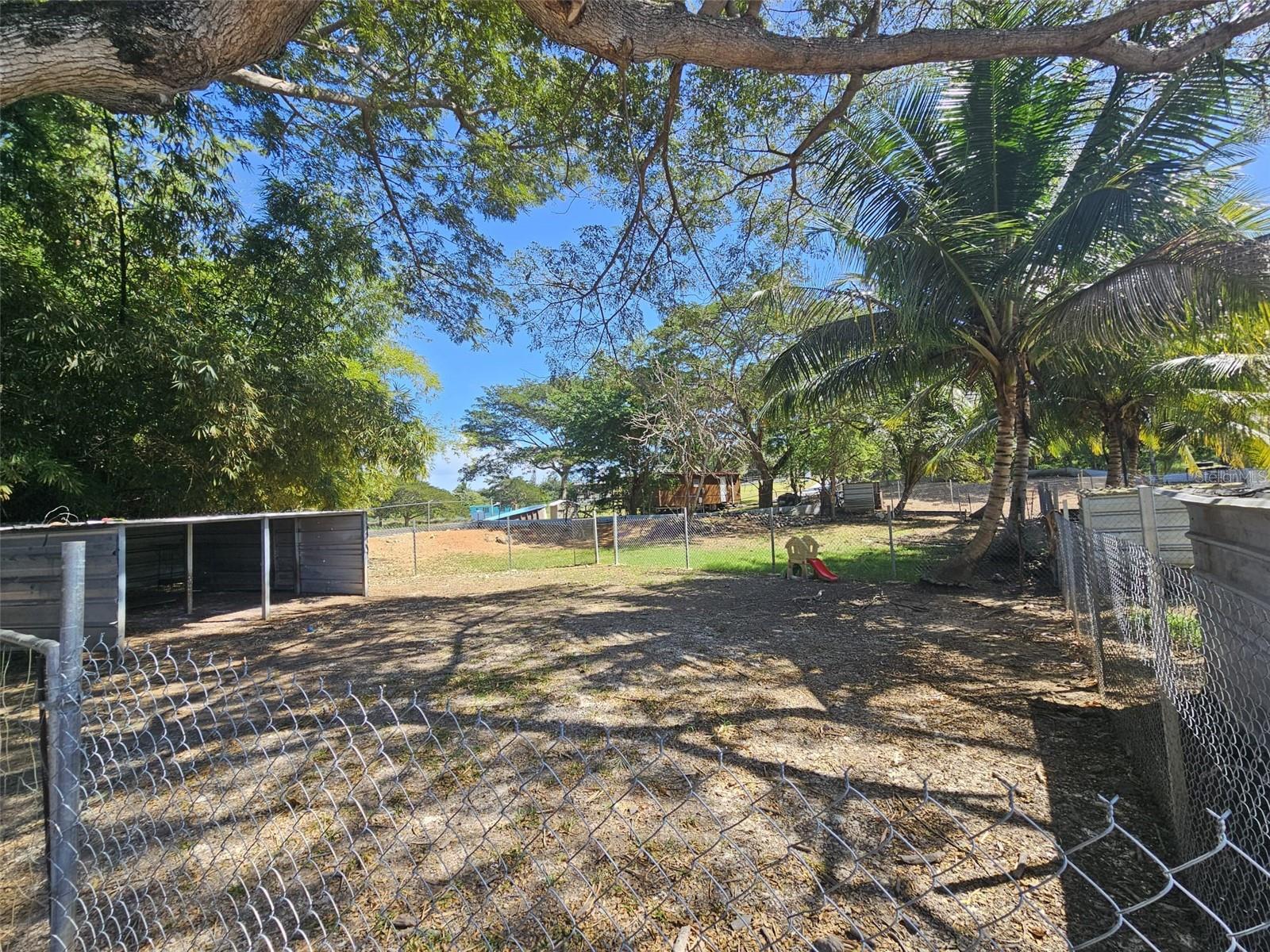 CABO ROJO — foto 7