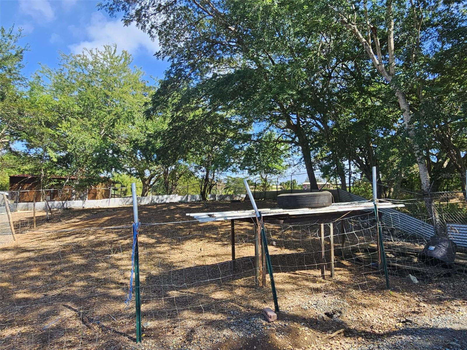CABO ROJO — foto 10