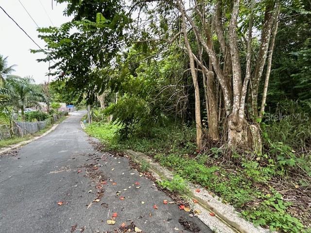 VEGA ALTA