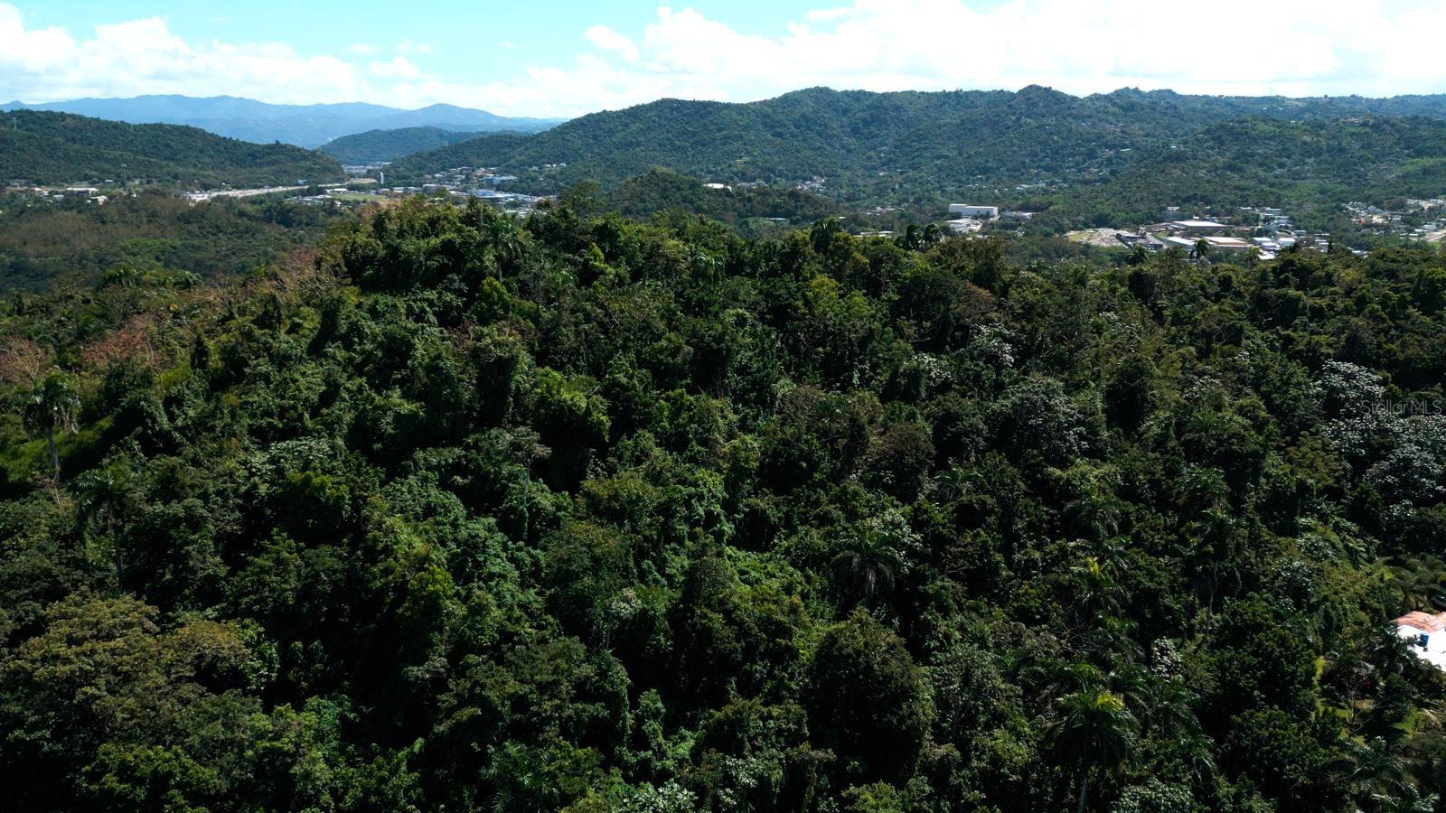 CAGUAS — foto 3