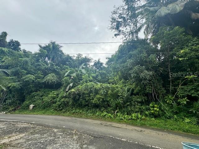 CAGUAS — foto 5