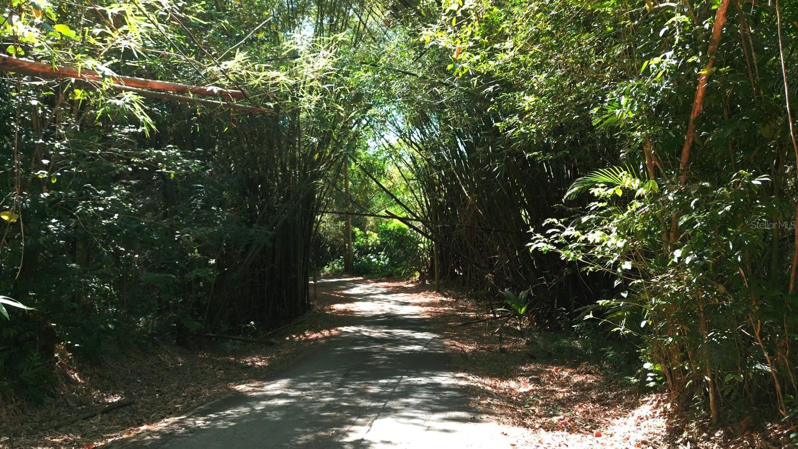 CAGUAS — foto 6