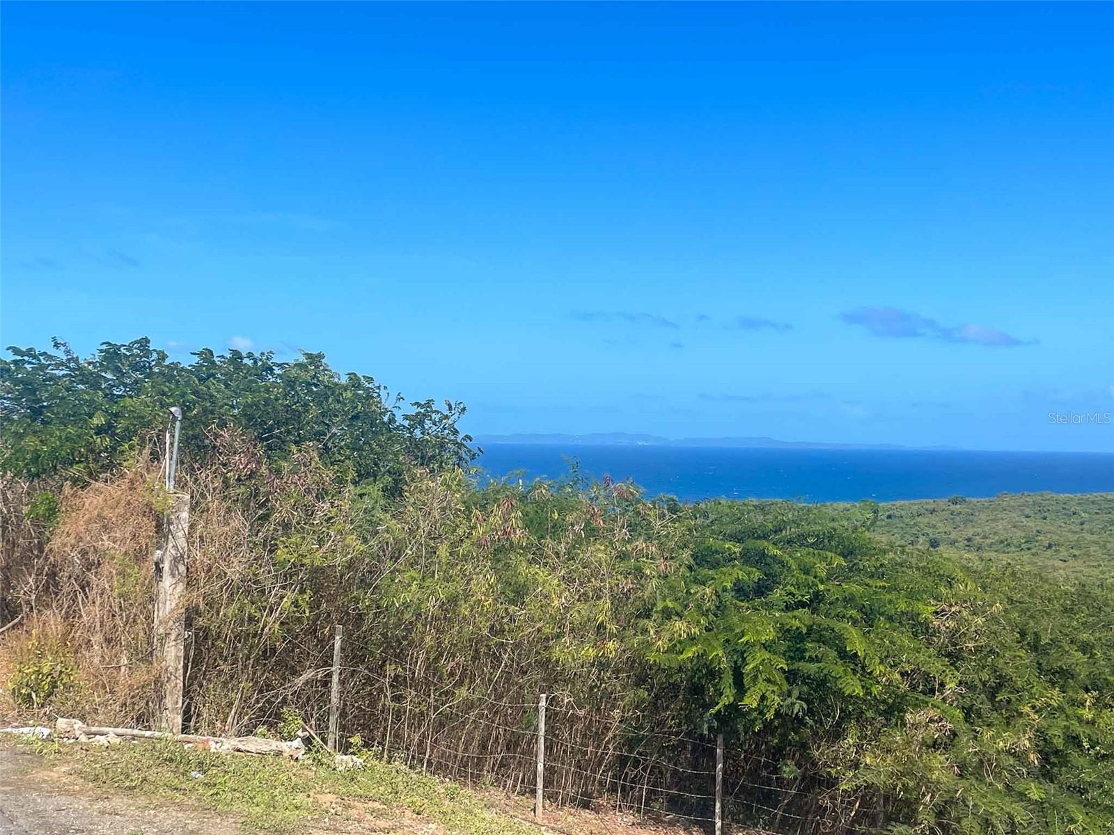 VIEQUES