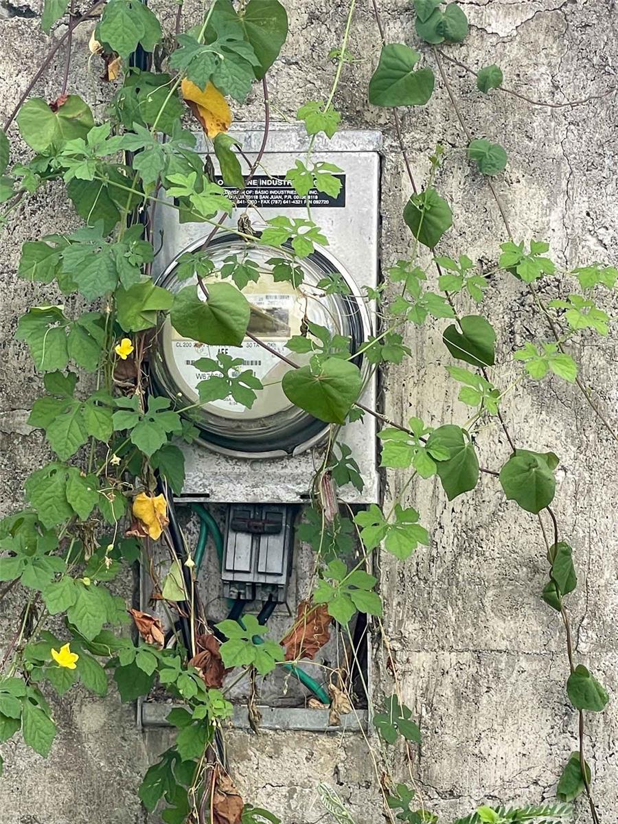 VIEQUES — foto 5