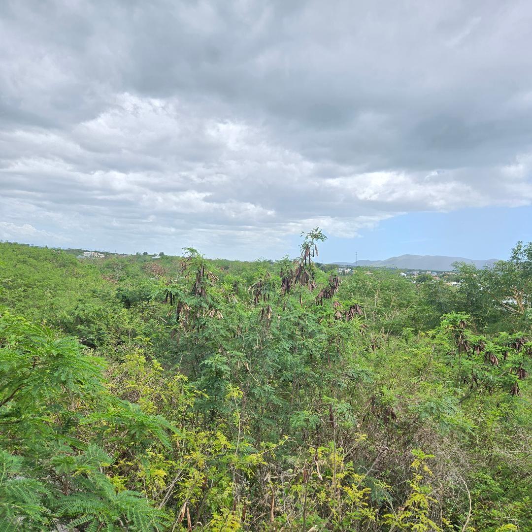 CABO ROJO — foto 2