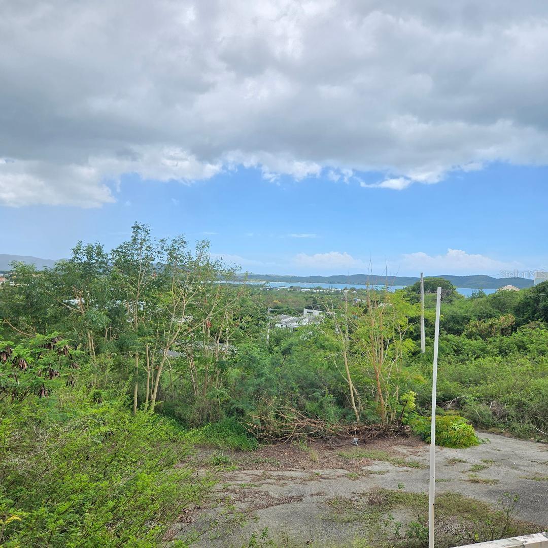 CABO ROJO — foto 3