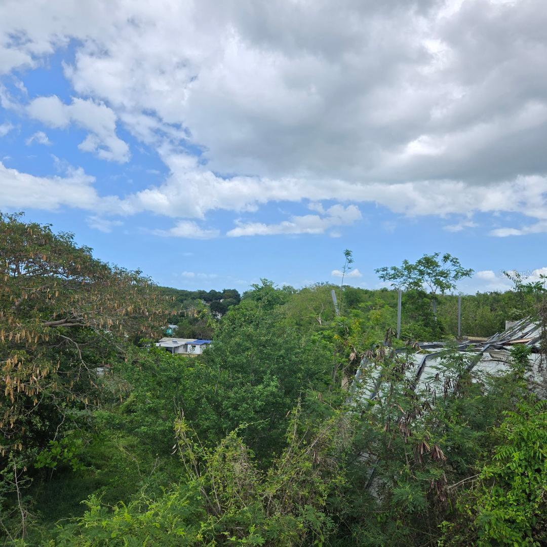 CABO ROJO — foto 4