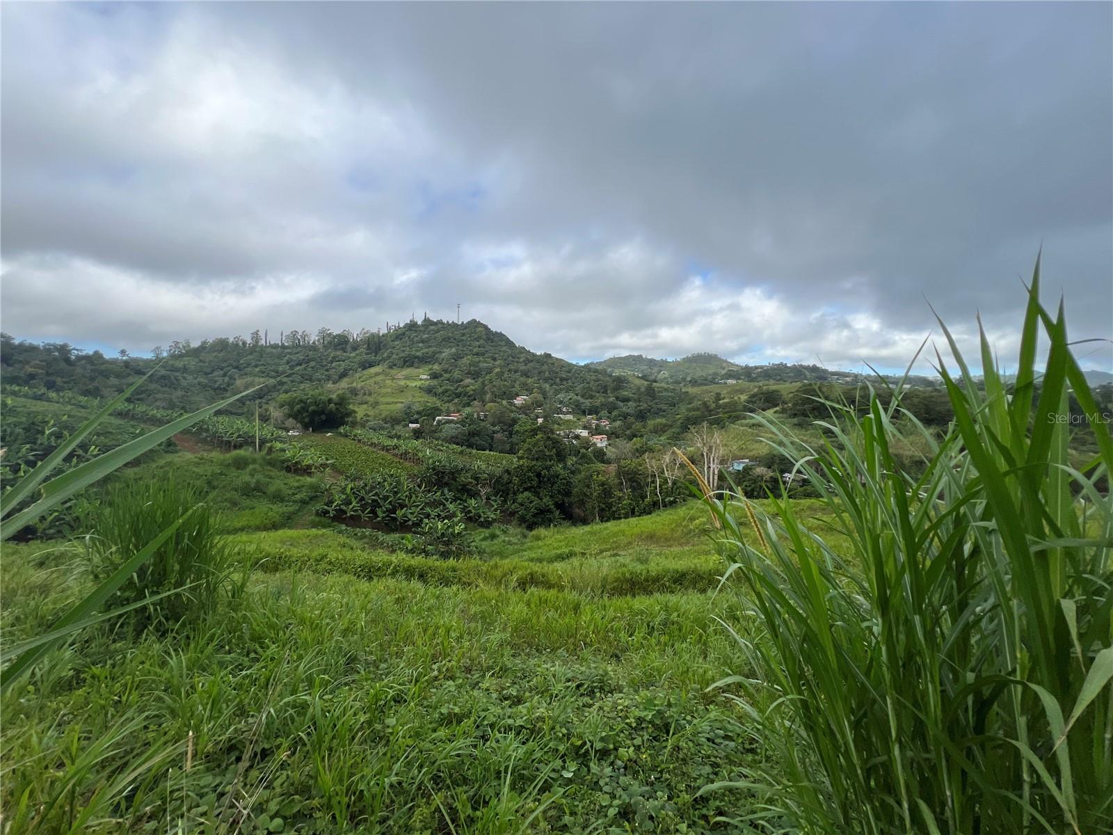 BARRANQUITAS — foto 4