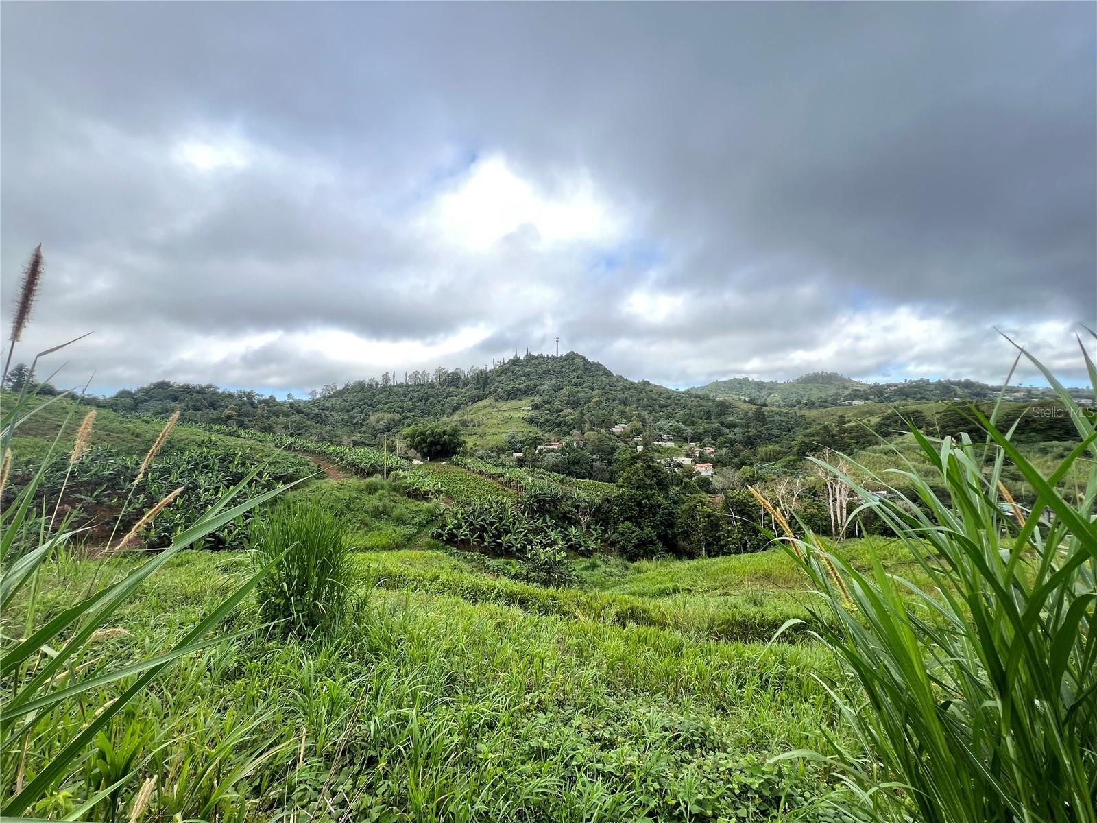 BARRANQUITAS — foto 6