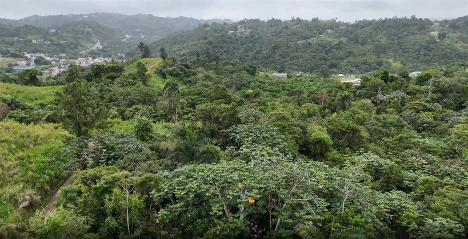 BARRANQUITAS — foto 6