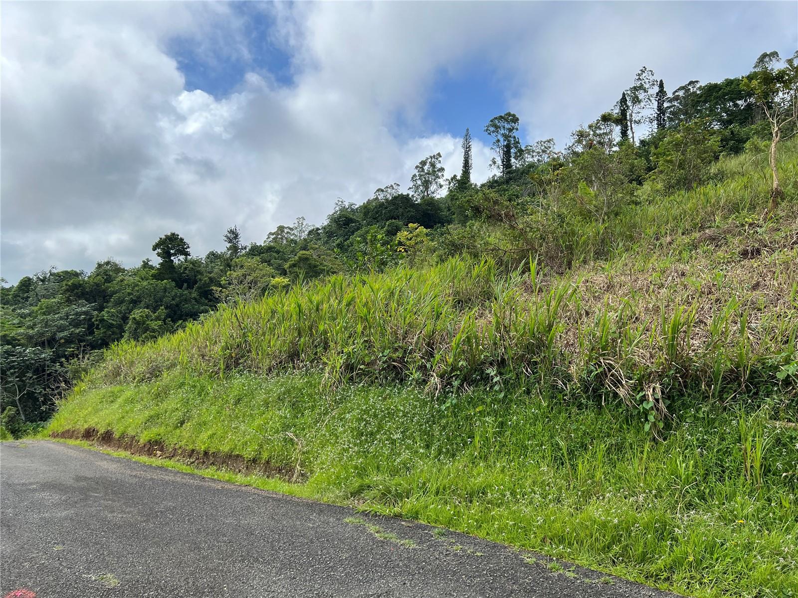 BARRANQUITAS — foto 3