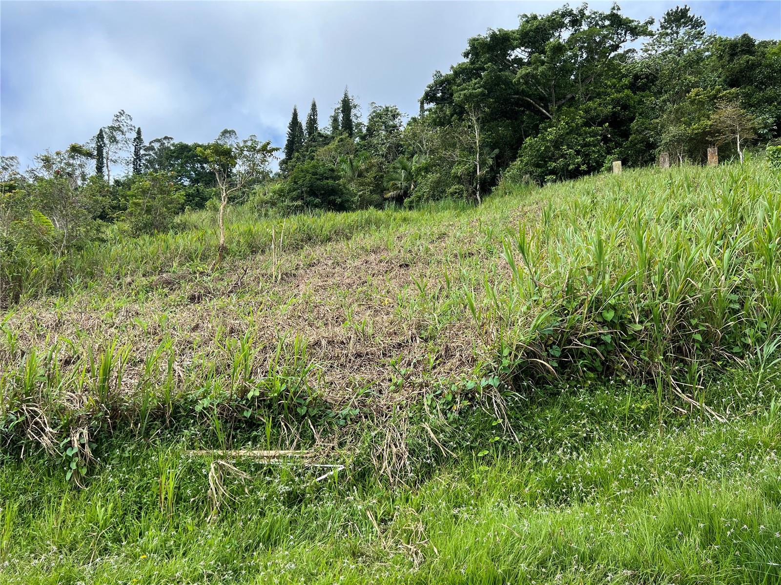 BARRANQUITAS — foto 5