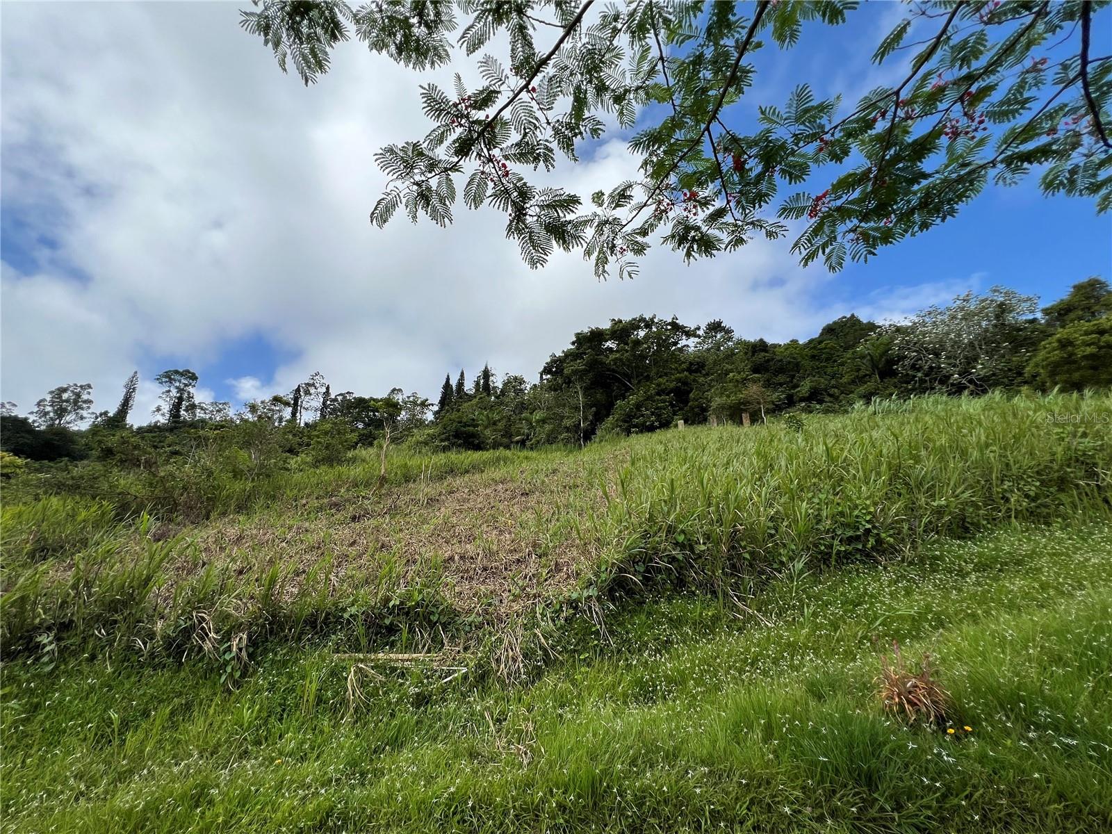 BARRANQUITAS — foto 10