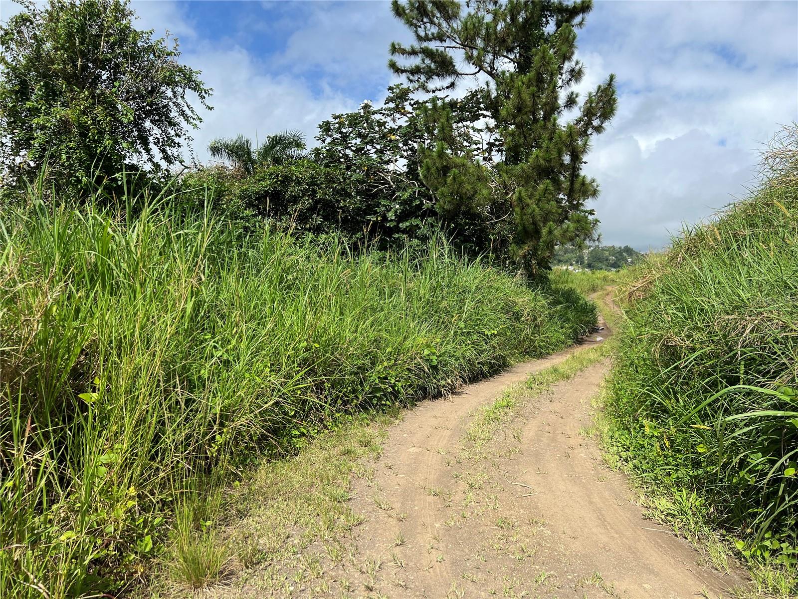 BARRANQUITAS — foto 4