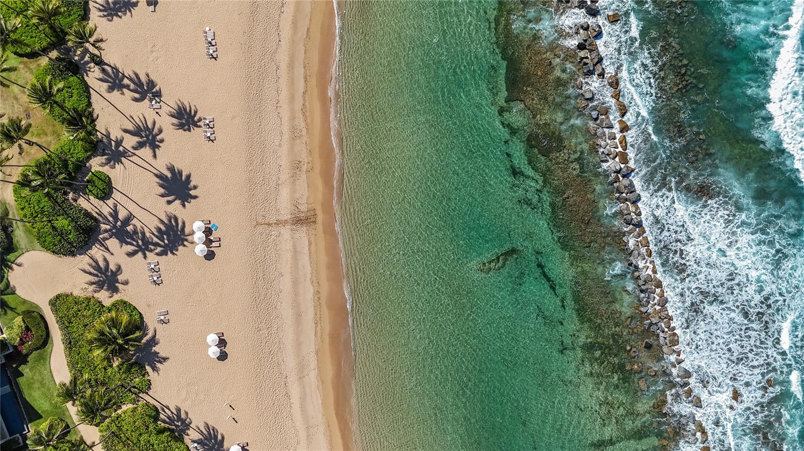 DORADO — foto 11