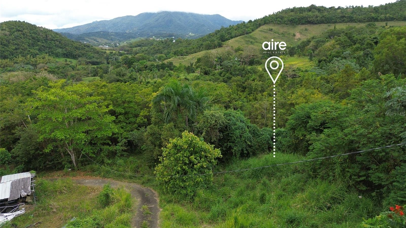 CEIBA