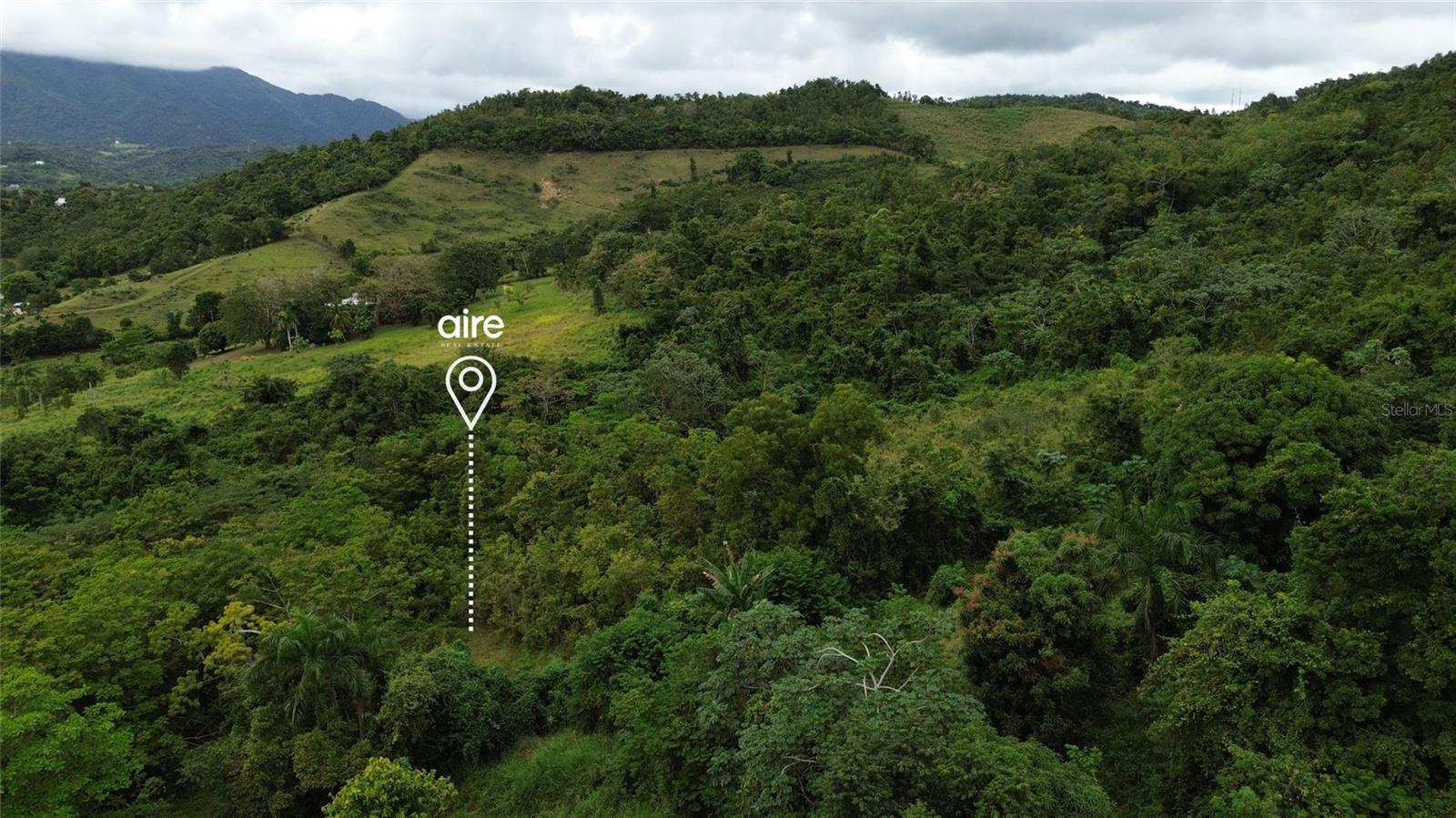 CEIBA — foto 2