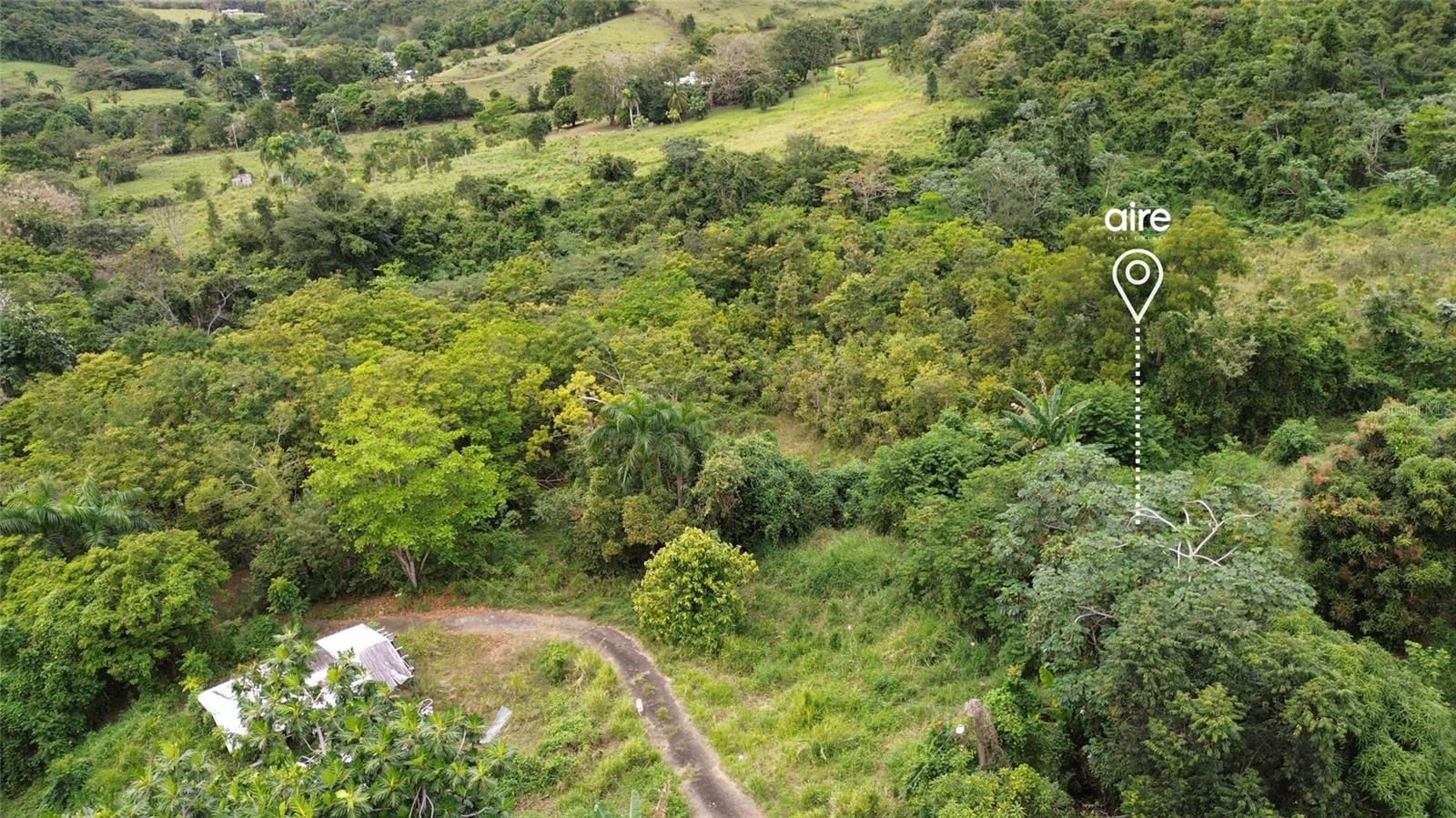 CEIBA — foto 3