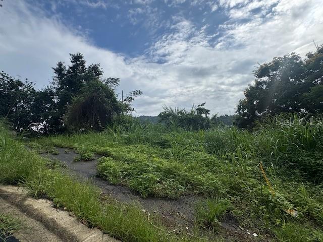 BAYAMON