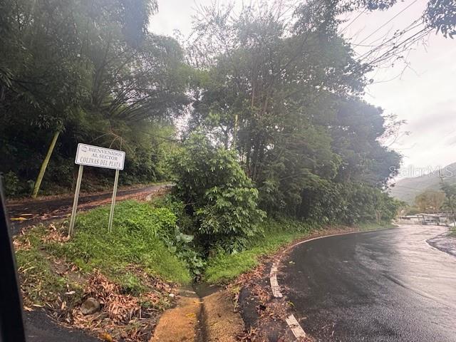 BAYAMON — foto 2