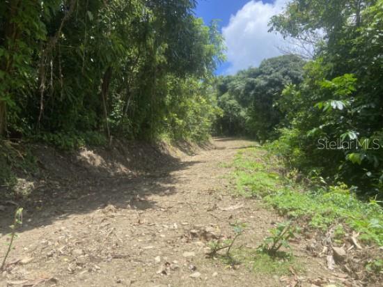 CAGUAS — foto 6