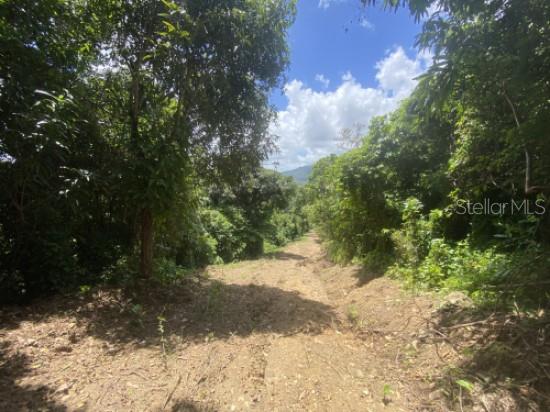 CAGUAS — foto 7