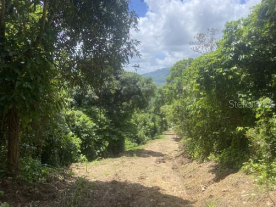 CAGUAS — foto 9