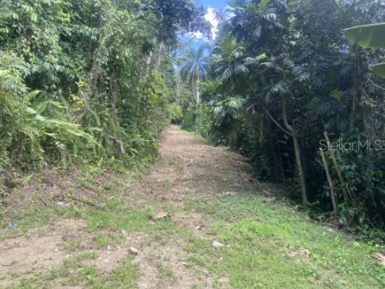 CAGUAS — foto 10