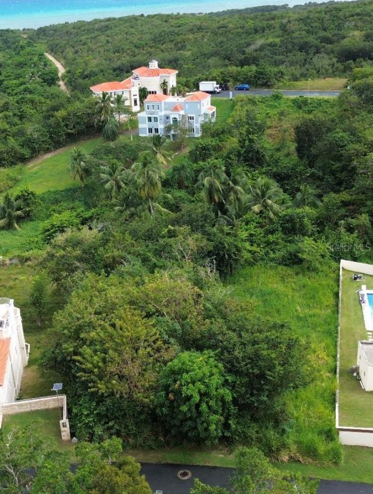 HUMACAO — foto 2