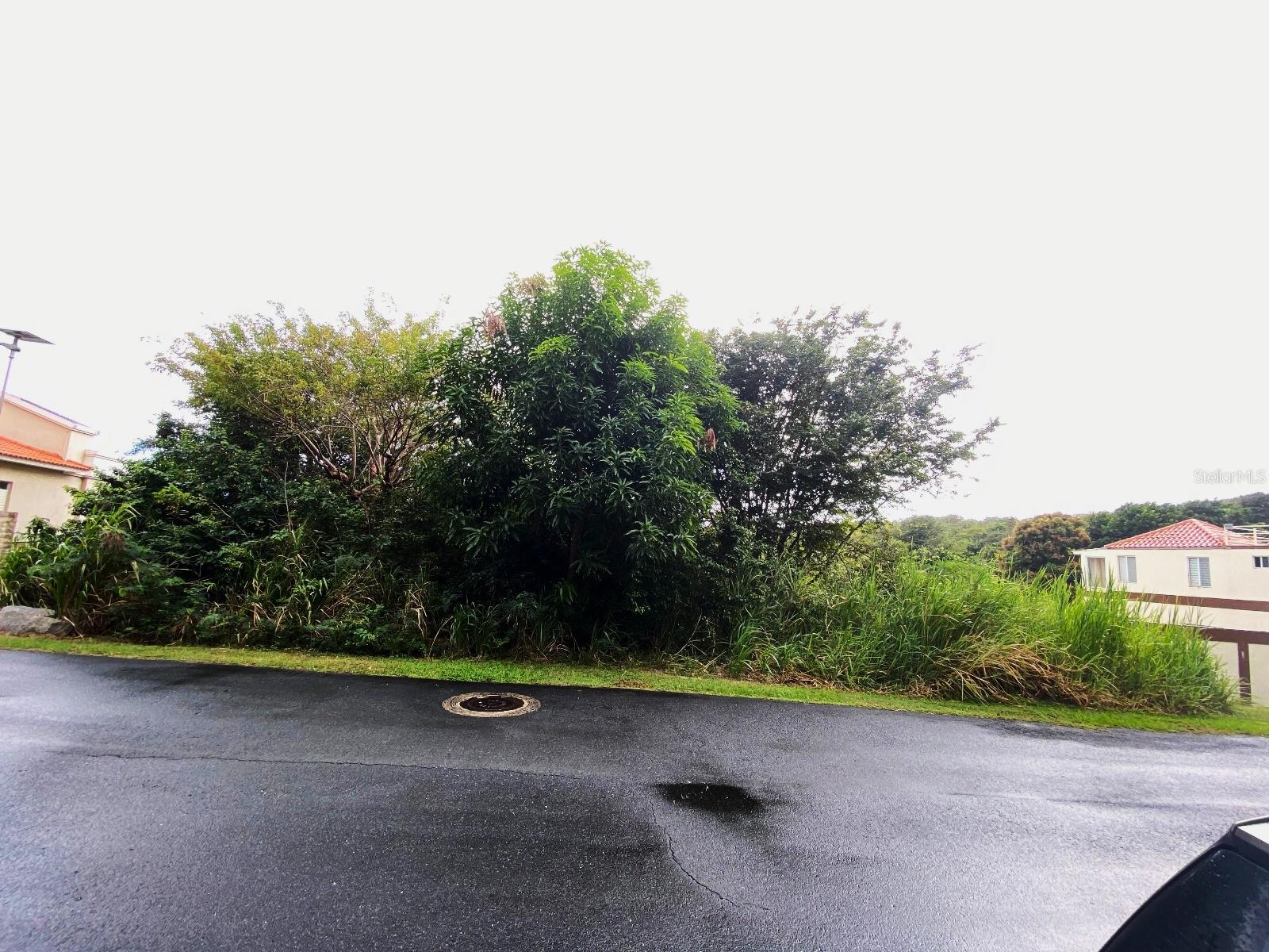 HUMACAO — foto 8